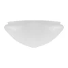 Ampelglas (f300/Vit)