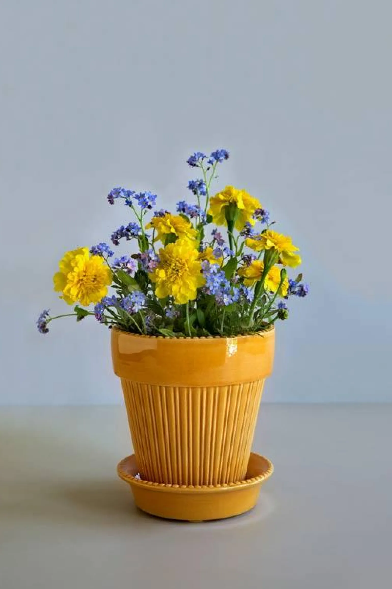 Bergs Potter Kruka med fat Montmartre - Gul 16 cm