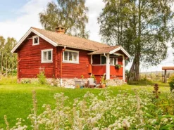 Falu Rödfärg - Original Röd 10 L