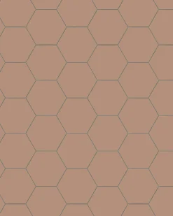 Klinker - Hexagon 10 x 10 cm gammelrosa