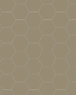 Klinker - Hexagon 10 x 10 cm mullvadsgrå