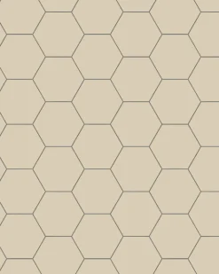 Klinker - Hexagon 10 x 10 cm ontario