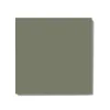 Klinker - Kvadrat 10 x 10 cm Australian green