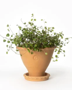 Kruka Sturehof - Adelcrantz 17 cm