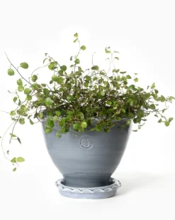 Kruka Sturehof - Adelcrantz, 17 cm grå