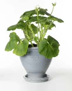 Kruka Sturehof - Adelcrantz, 21 cm grå