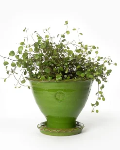 Kruka Sturehof - Adelcrantz, 17 cm grön
