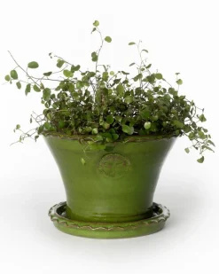 Kruka Sturehof - Liljencrantz, 20 cm grön