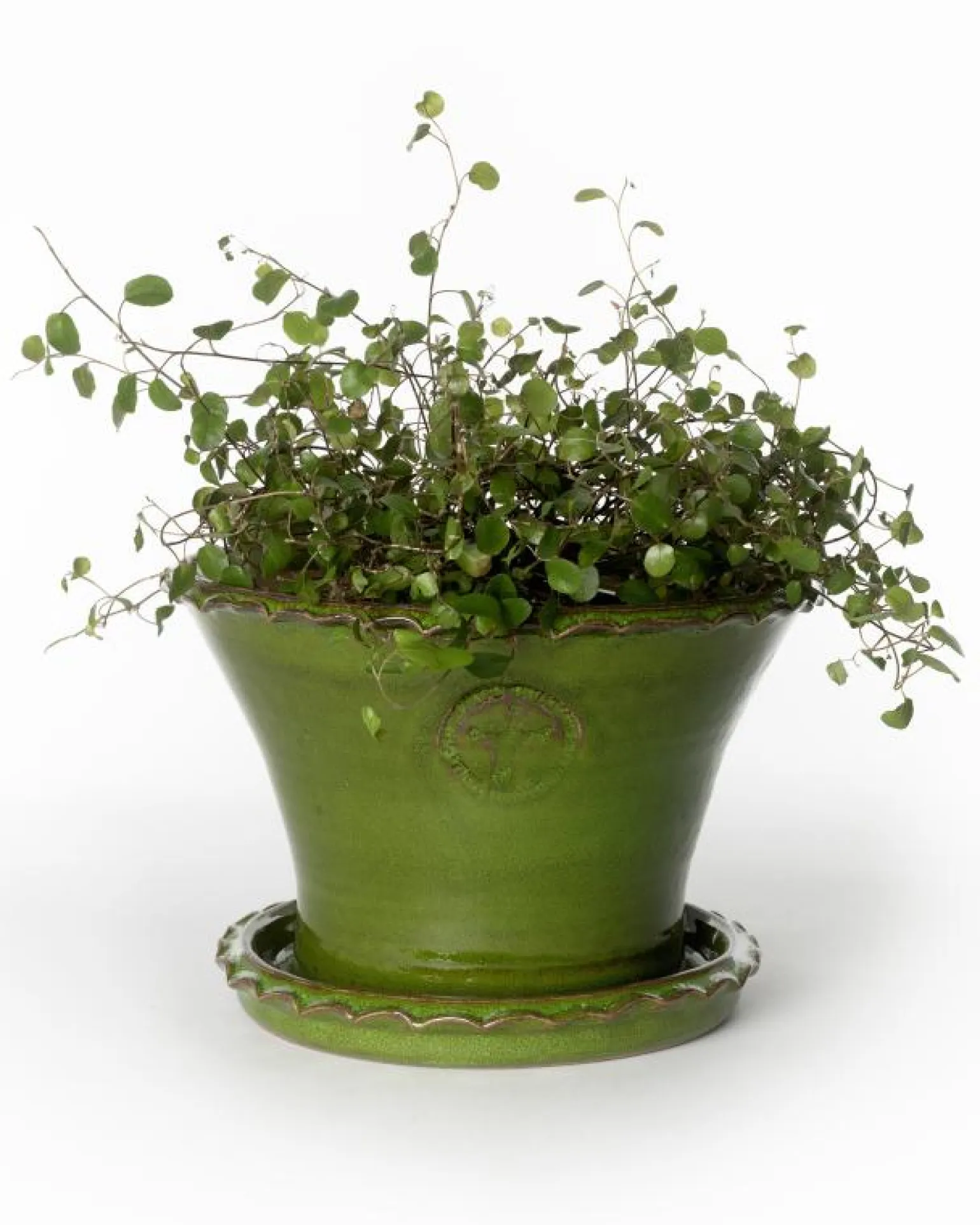 Kruka Sturehof - Liljencrantz, 20 cm grön