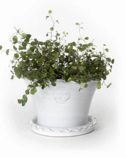 Kruka Sturehof - Liljencrantz, 20 cm vit