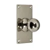 Rund knopp med bottenplatta - Nickel 40 x 70 mm