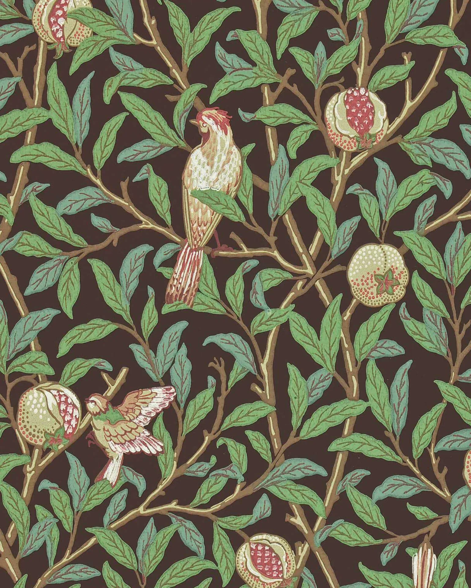William Morris & Co. Tapet - Bird & Pomegranate Charcoal/Sage