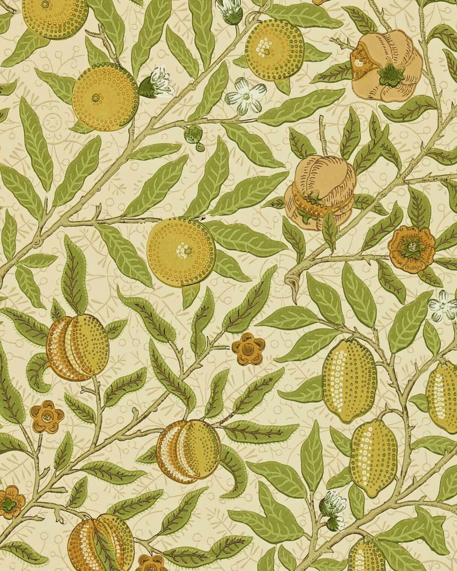 William Morris & Co. Tapet - Fruit Lime Green/Tan