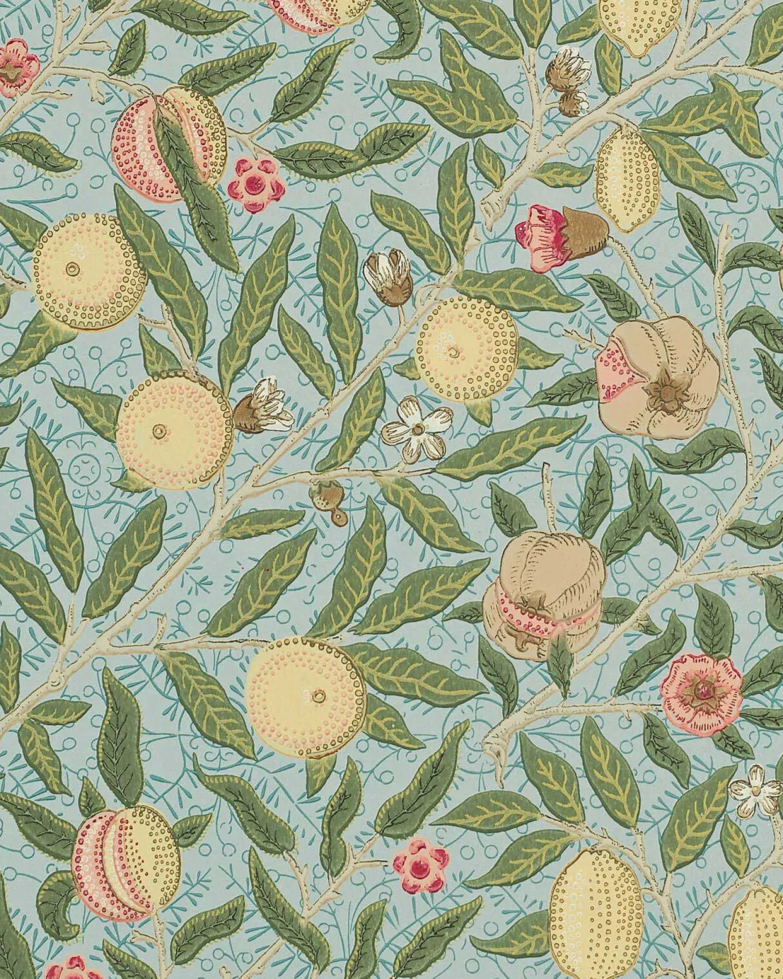 William Morris & Co. Tapet - Fruit Slate/Thyme