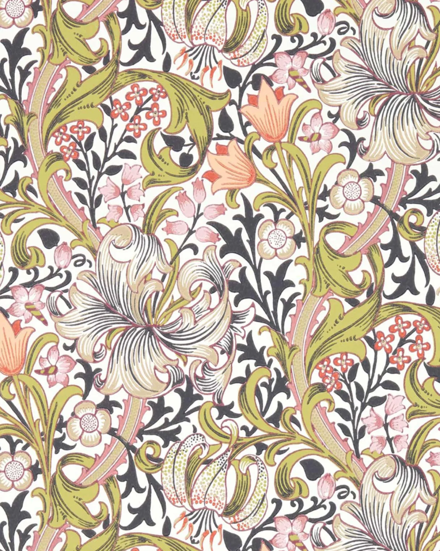 William Morris & Co. Tapet - Golden Lily Espresso