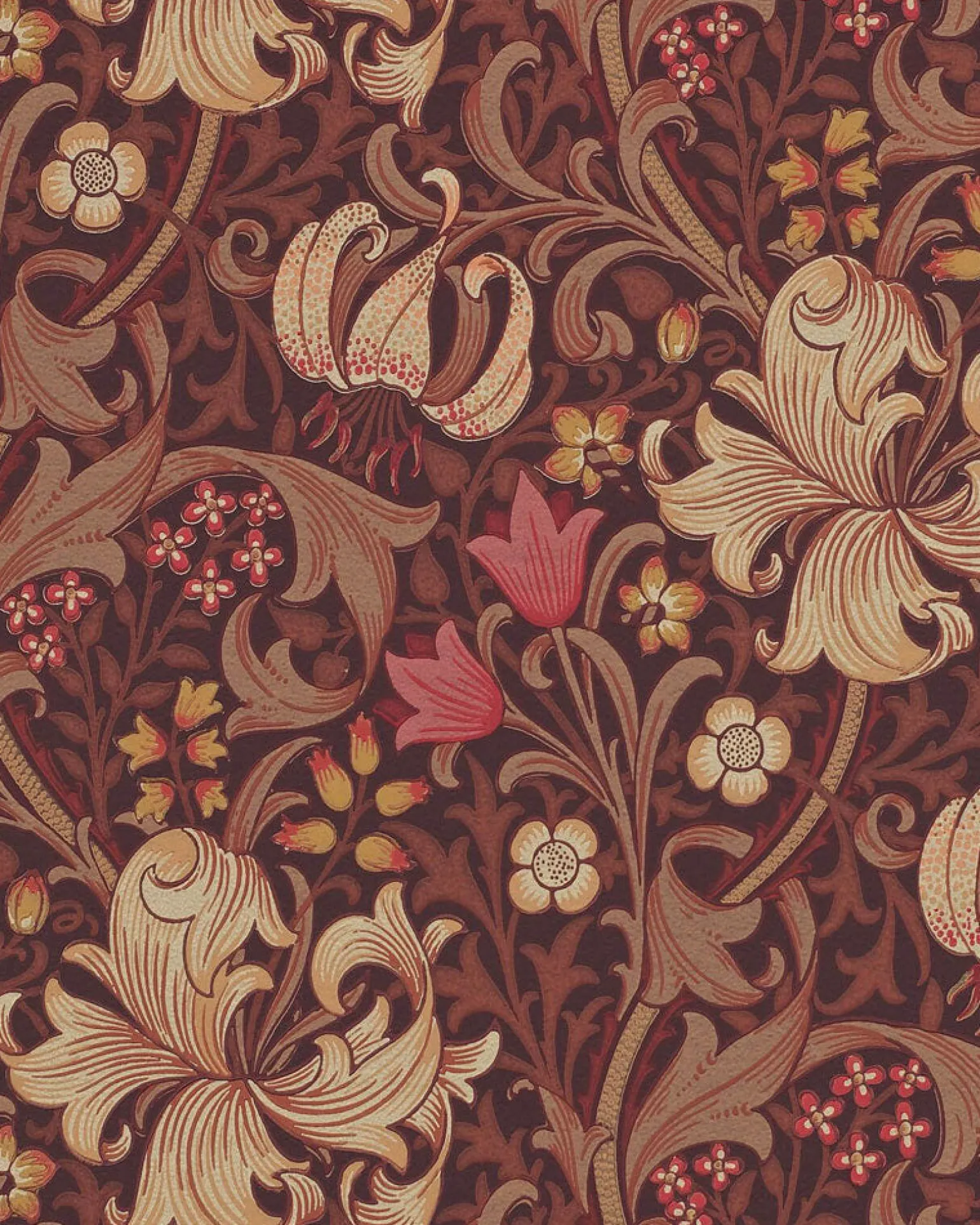 William Morris & Co. Tapet - Golden Lily Fig/Burnt orange