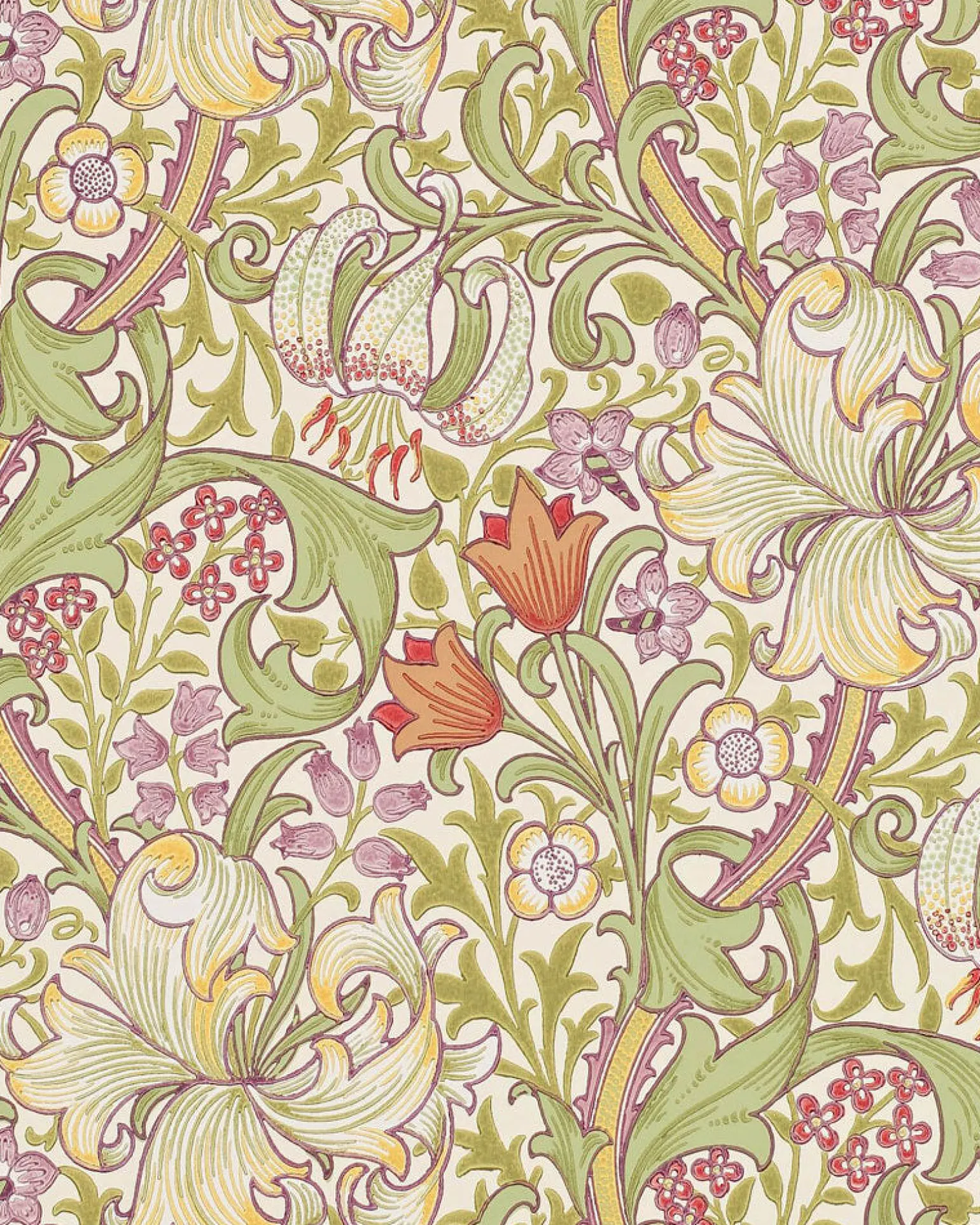 William Morris & Co. Tapet - Golden Lily Olive/Russet