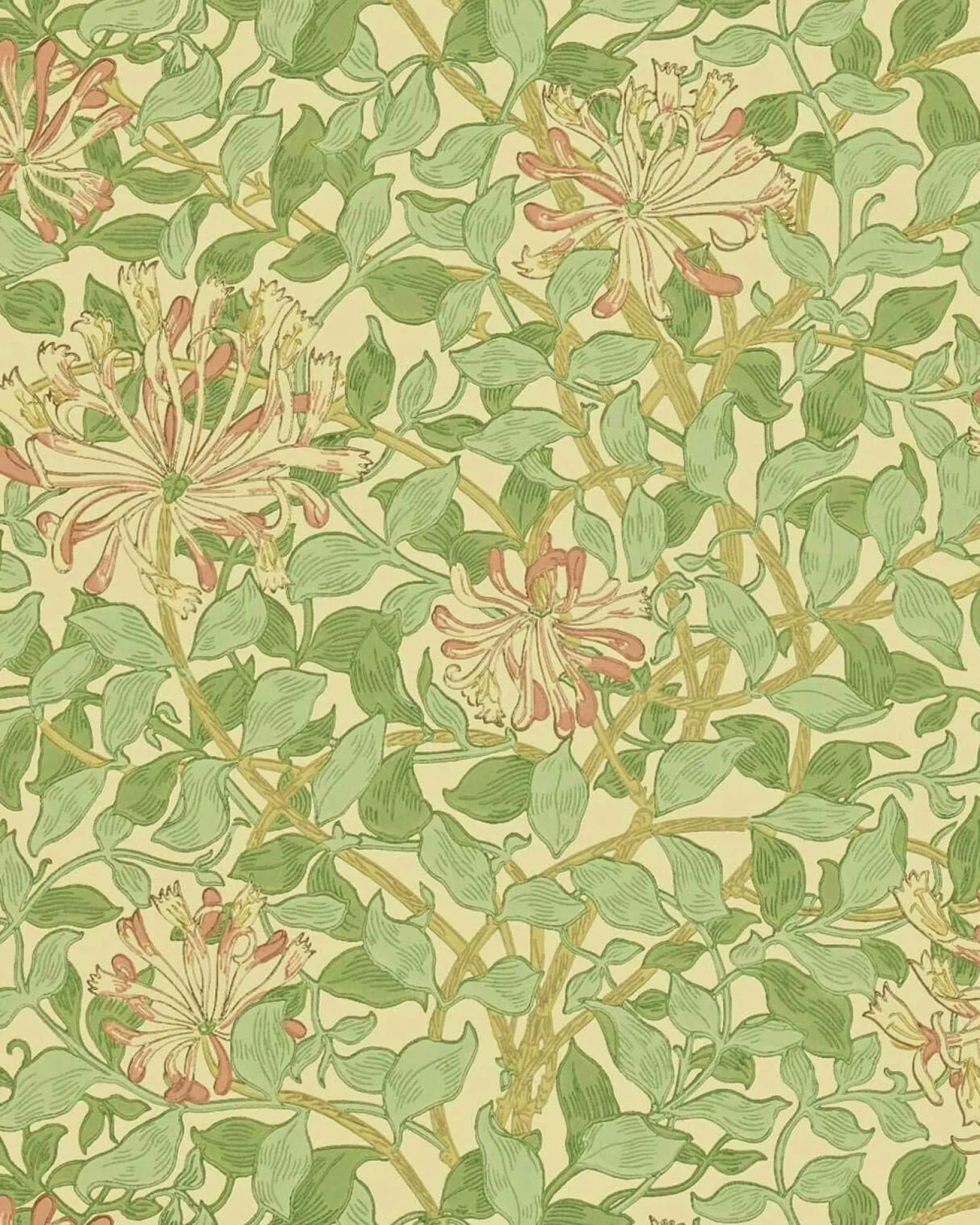 William Morris & Co. Tapet - Honeysuckle Green/Beige/Pink