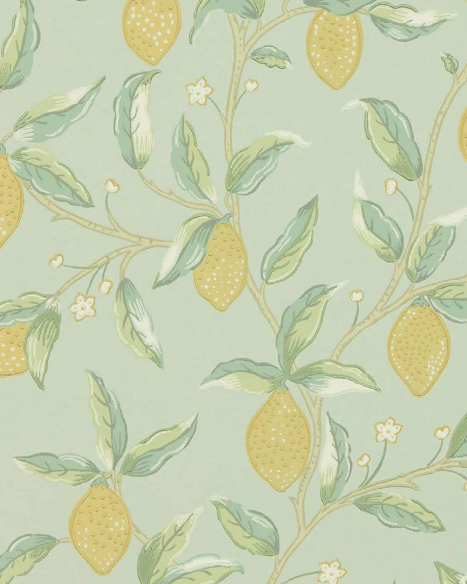 William Morris & Co. Tapet - Lemontree sage