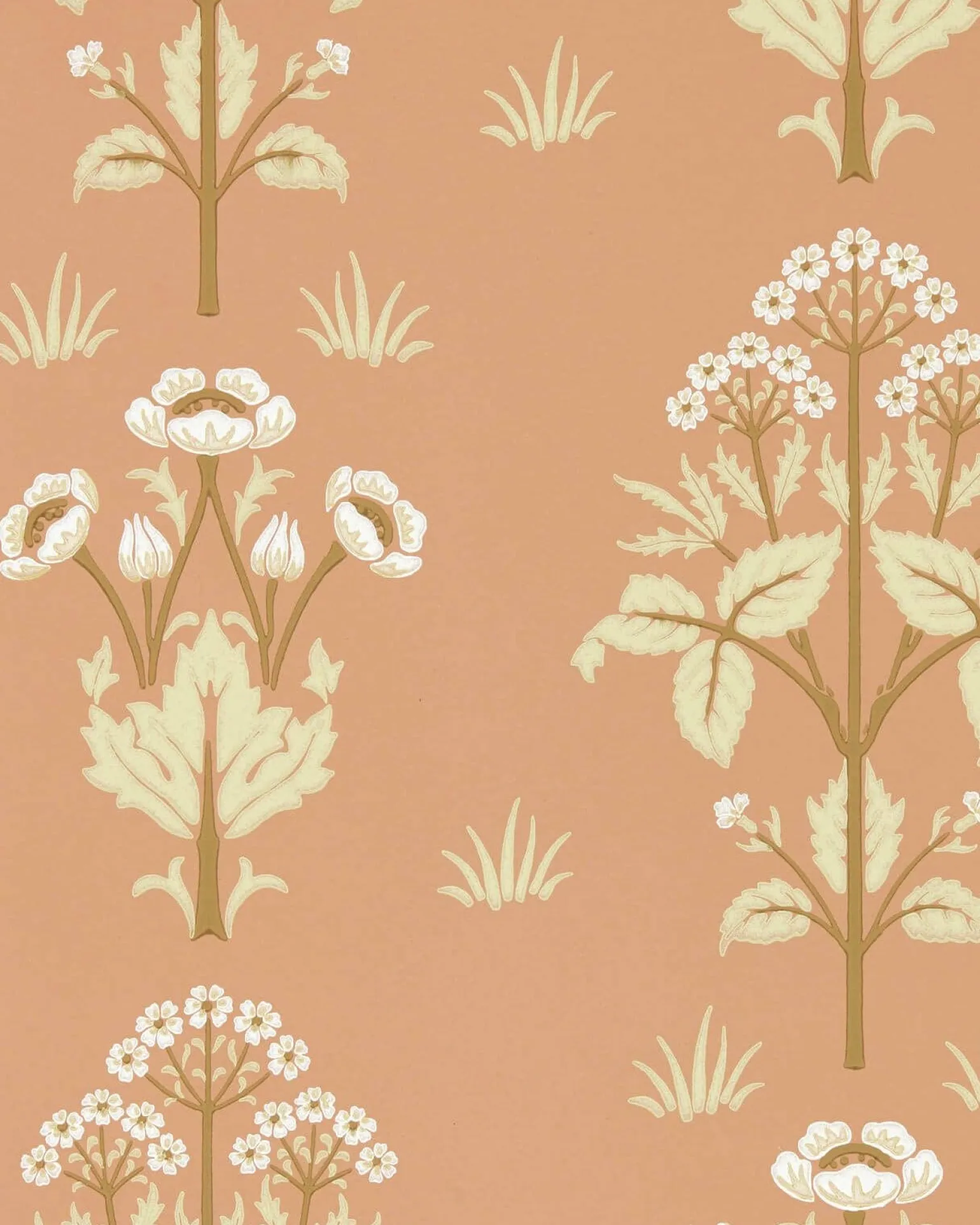 William Morris & Co. Tapet - Meadow Sweet Blush