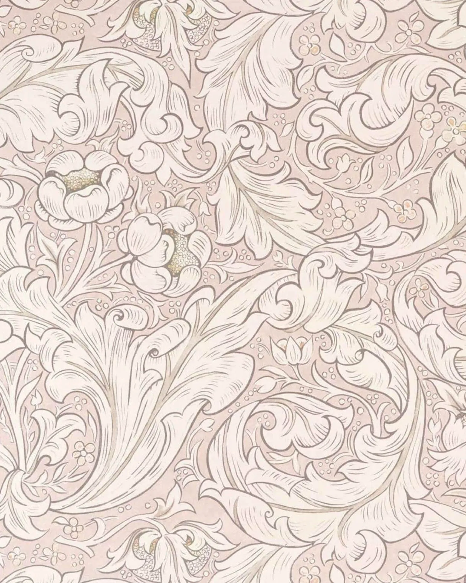 William Morris & Co. Tapet - Pure Bachelor´s Button Faded Sea Pink