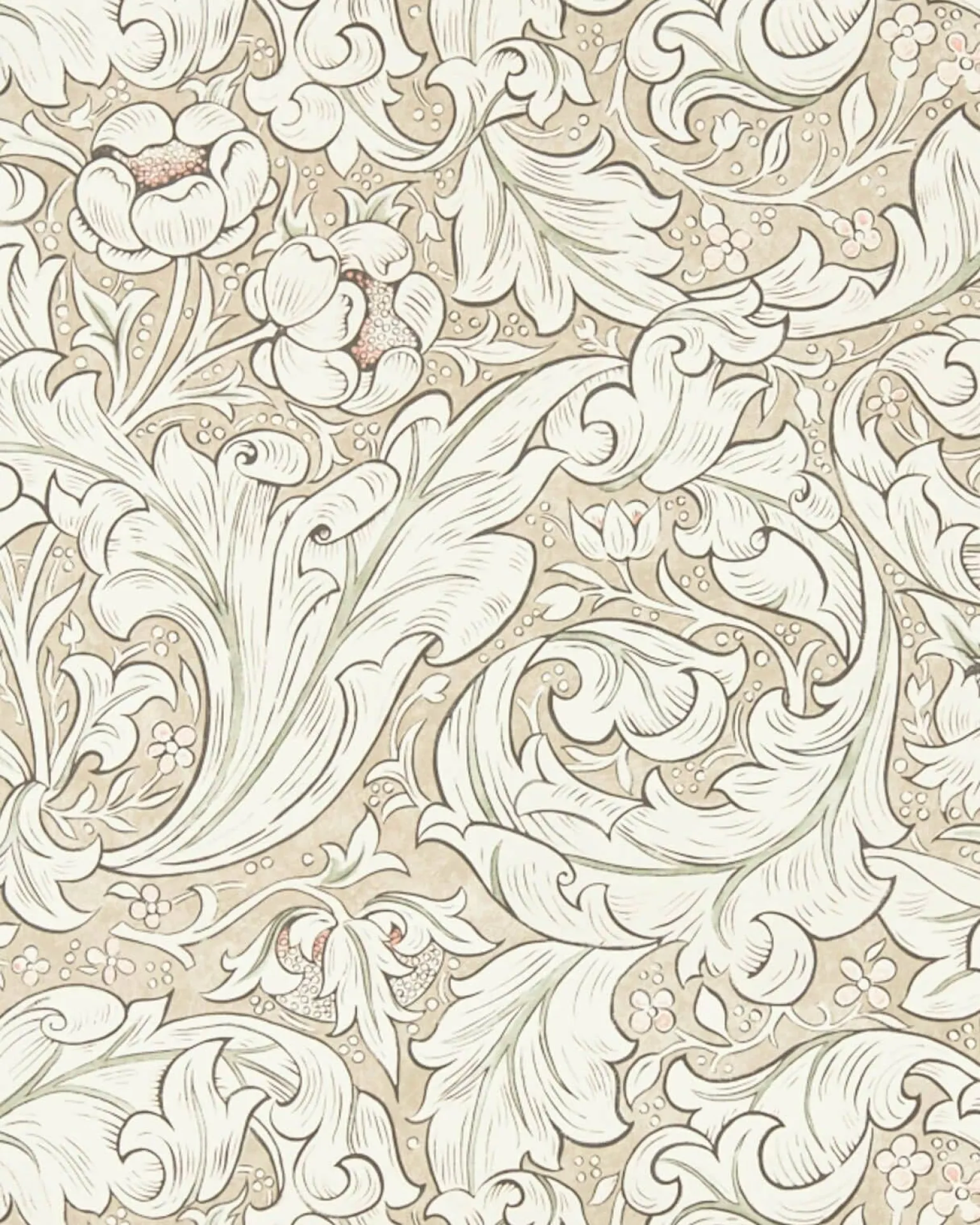 William Morris & Co. Tapet - Pure Bachelor´s Button Linen/Coral