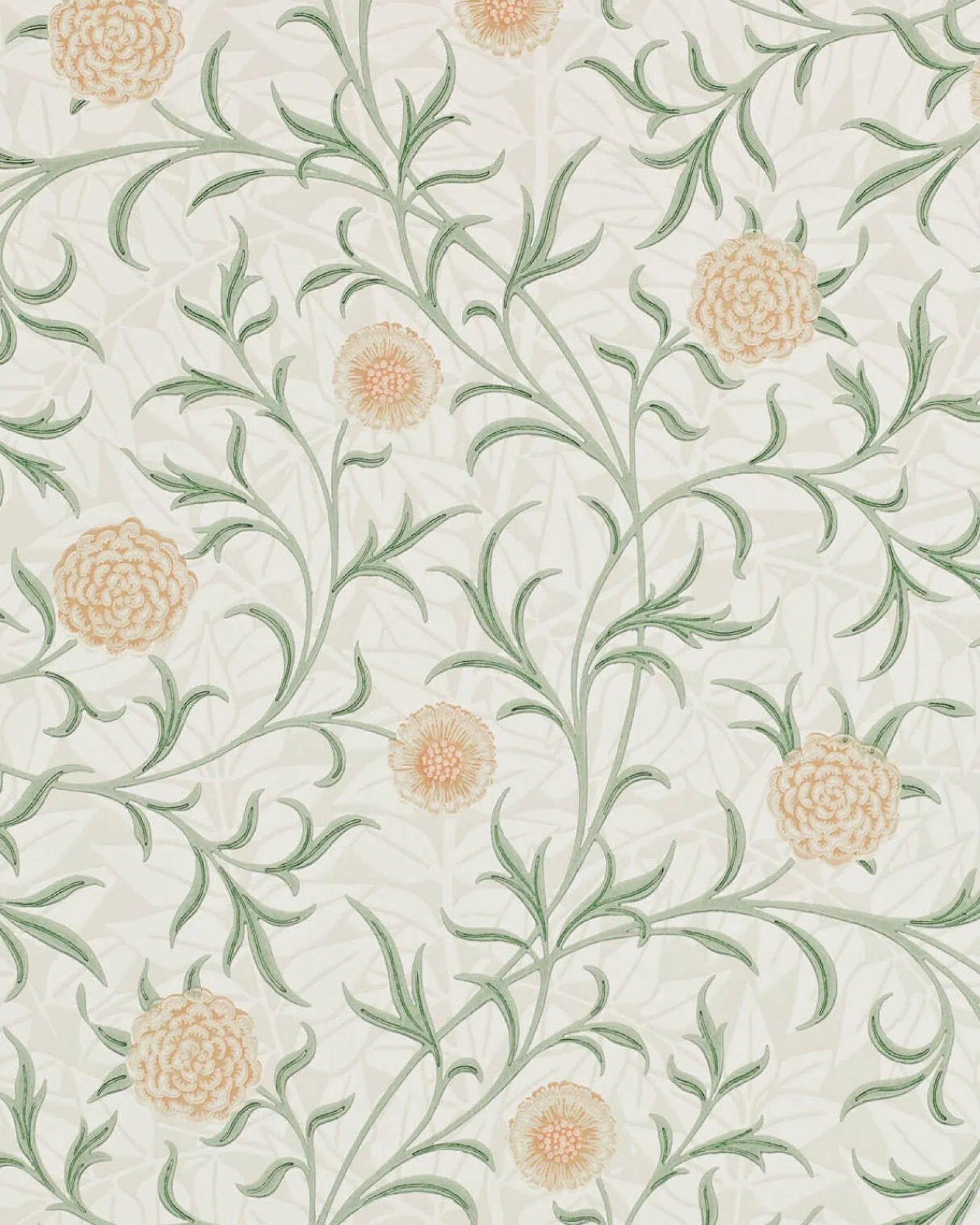 William Morris & Co. Tapet - Scroll Thyme/Pear